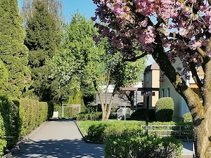 3-Zi-Whg Lustenau-ruhig und tolle Aussicht Bild 4