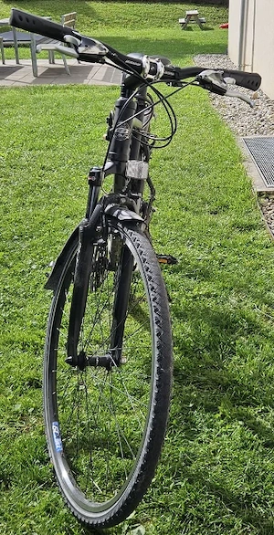 Herren Citybike, schwarz, Bulls, 165 - 185 cm Bild 2