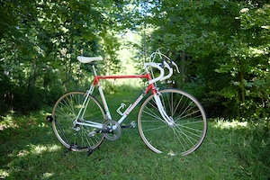 Bottecchia Sprinter Retro - Rennrad Bild 5
