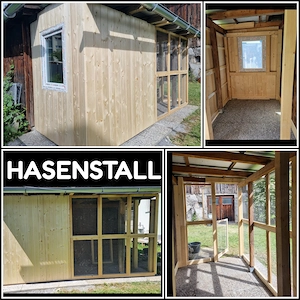 Professionelle Arbeiten rund ums Haus, Trockenbau, Pflastern, Renovierung, Holzbauten