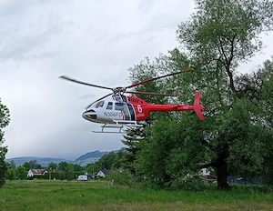 RC Bell 206 Flugfertig  Bild 5