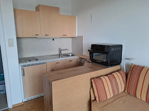 1Zi. App. mini-Penthouse Bregenz-Lochau Bild 3