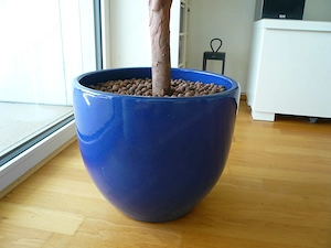 Hochwertiger künstlicher Drachenbaum im blau glasierten Tontopf, höhe 160cm * Wunderschön * Bild 5