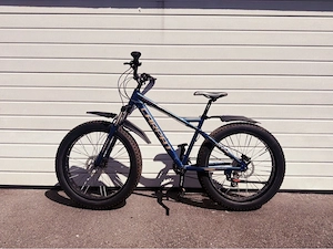Fatbike Fahrrad
