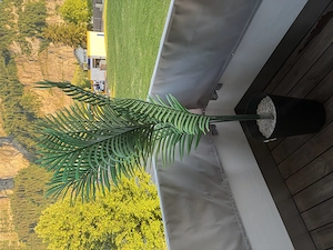 Kunstpflanze Palmen Bild 2