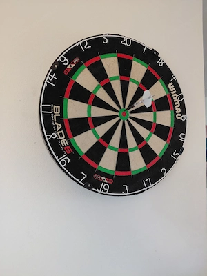 Dartscheibe Winmau Bild 2