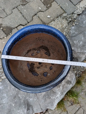 außergewöhnlicher und robuster Pflanzen-Topf Bild 5