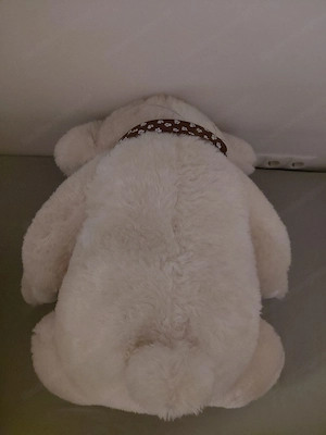 Großer Kuscheltier Bär Neu da bei Tombola Gewonnen Bild 2