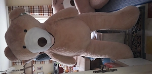 Zu verschenken bär ca 150 cm