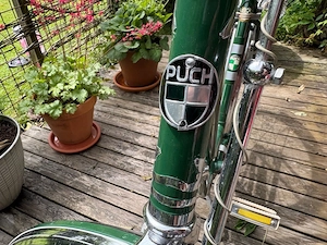 Oldtimer Damenfahrrad Puch Steyr Luxus Bild 2