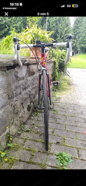 Rennrad Team 100  Bild 5