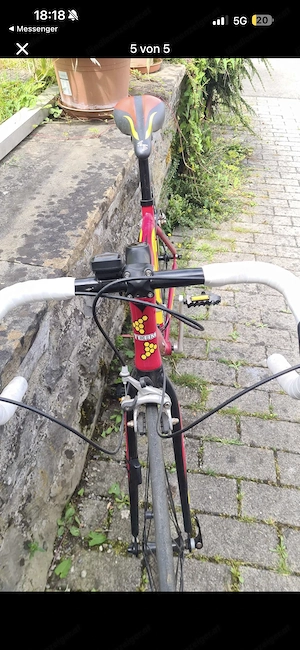 Rennrad Team 100  Bild 3