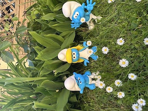 Garten Schlümpfe! Bild 2