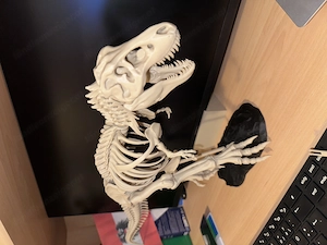 T-Rex Skelett Modell
