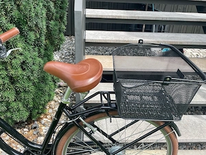Damen Retro Fahrrad Bild 3