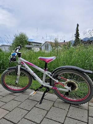 Fahrrad 20 zoll Bild 2
