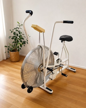 MPK Swingair   Schwinn Airdyne Airbike - Ganzkörper-Ergometer, Privatverkauf