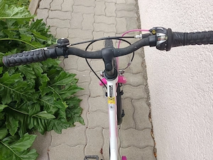 KTM Wild Cat 20 Zoll  Bild 3