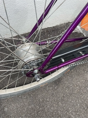Fahrrad Nabenschaltung 26 Zoll Bild 4