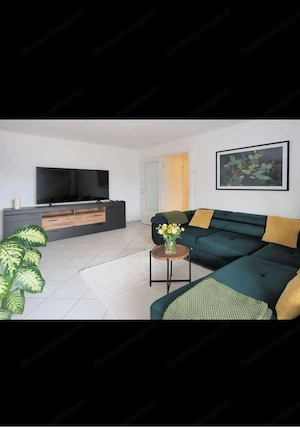 3 Zimmer Wohnung zu Vermieten Bild 6