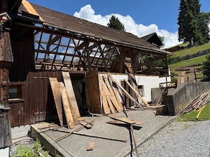 alte Bretter und Bälken