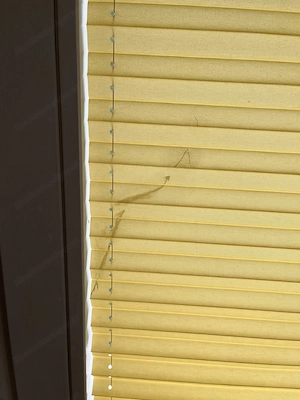 Plissee in Gelb für 2 Fenster zu verschenken Bild 2