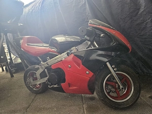 Pocket Bike Bild 3