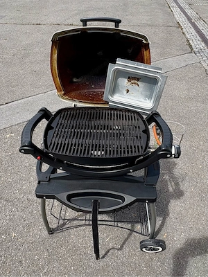 Weber Q 1000 Gasgrill mit Wagen und Abdeckung Bild 2