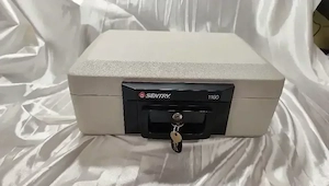 Dokumentenkassette feuerbeständig Sentry 1160