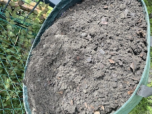 Erde Humus GRATIS Lustenau Bild 2