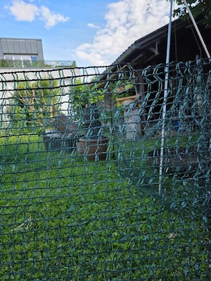 Kleintier Netz Grün 