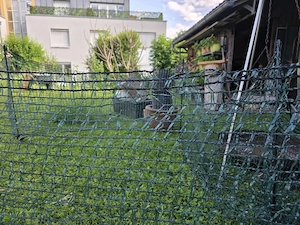 Kleintier Netz Grün  Bild 2