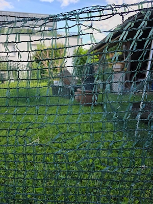 Kleintier Netz Grün  Bild 3