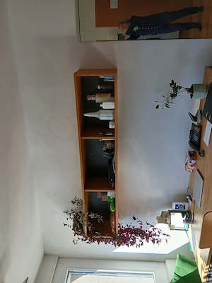 2 schöne stabile Wandregale,  Bild 4