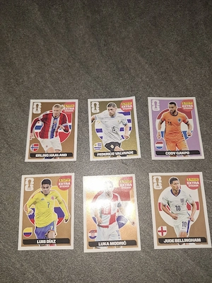 Panini Sticker WM 2026 Bild 3