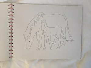  Pferde zeichnen malen  Bild 3