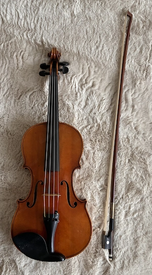 Geige neu aufbereitet durch La Musica Bild 2