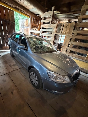 Skoda Octavia Allrad  Bild 3