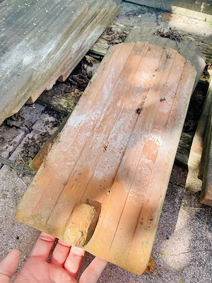 Biberschwanz Dachziegel Bild 2