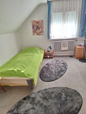 WG-Wohnung ab 1.9.2026 zu vermieten  Bild 3