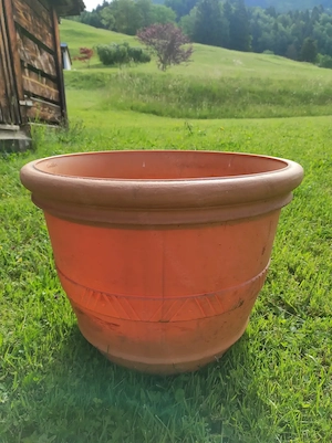 Blumentopf groß zu verschenken