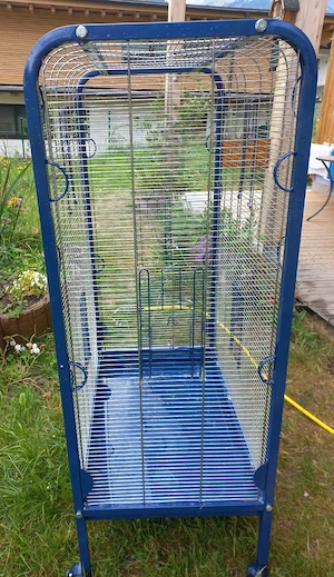 Voliere   Vogelkäfig Bild 2