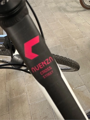 Crossbike Dame Bild 3