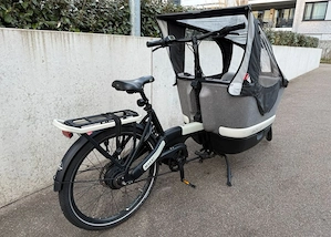Gazelle Elektro-Lastenrad  Lastenfahrrad nur 700 km gefahren Bild 3