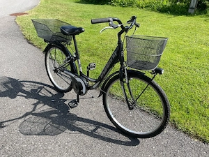 Citybike MONTANA extra comfort utility Bild 2