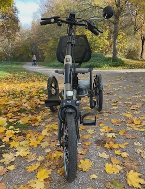 Van Raam Easy Rider Compact  Bild 2