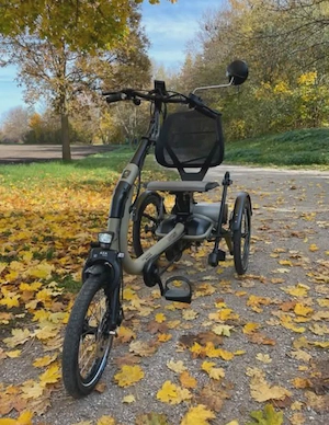 Van Raam Easy Rider Compact  Bild 3