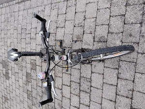 X-Fact Cobra 24" Mountainbike Bild 3