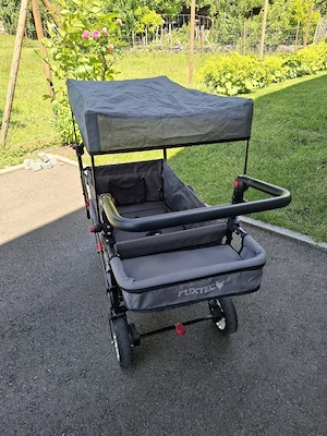 FUXTEC Bollerwagen FX-CT800 mit UV-geschütztem Sonnendach,Schiebegriff & Innenraumverlängerung Bild 3
