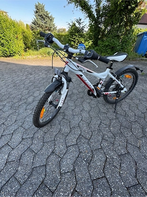 Kinderfahrrad 20 Zoll Bild 3